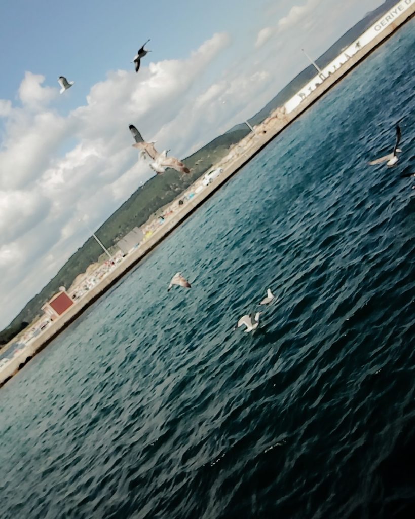 Bir De Seni \ Ayşenur Gidergi