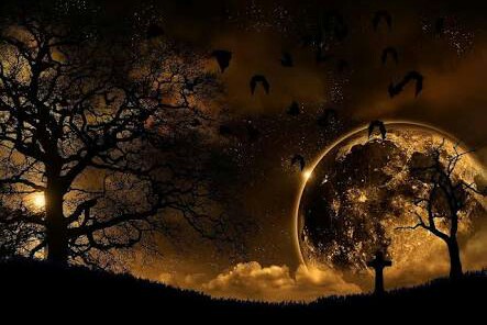 GECE \ Samet Tunca