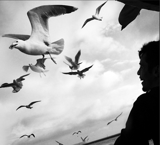 Mahur Beste / Atilla İlhan