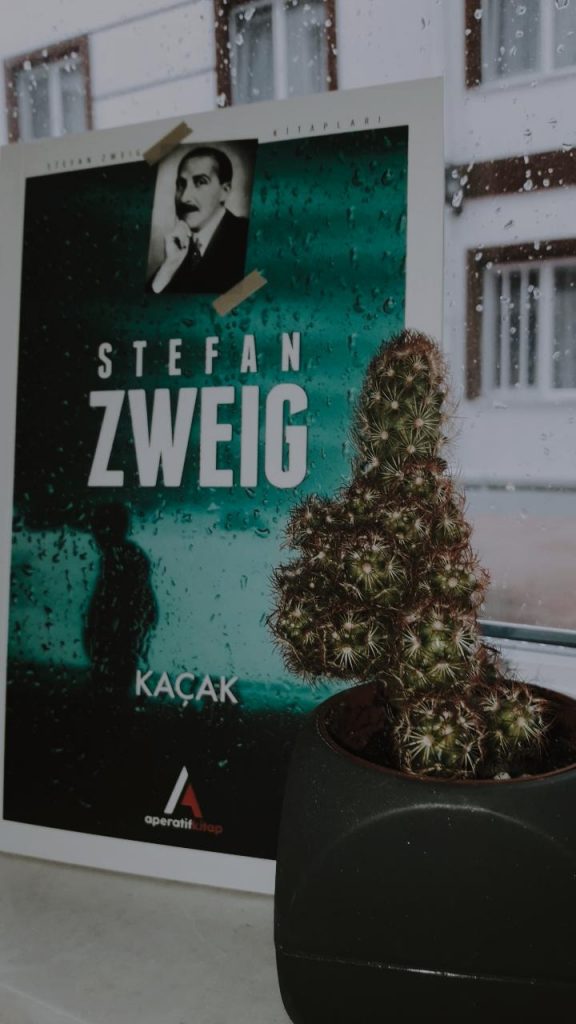 KAÇAK STEFAN ZWEİG – Kitap yorumu / Hayriye GÜR
