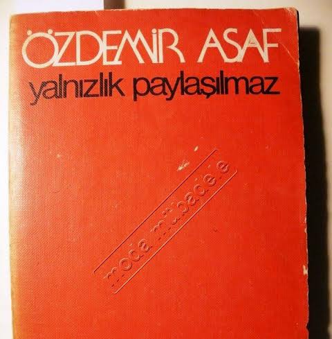 Yalnızlık Paylaşılmaz/ Özdemir Asaf (Kitap Tahlili)