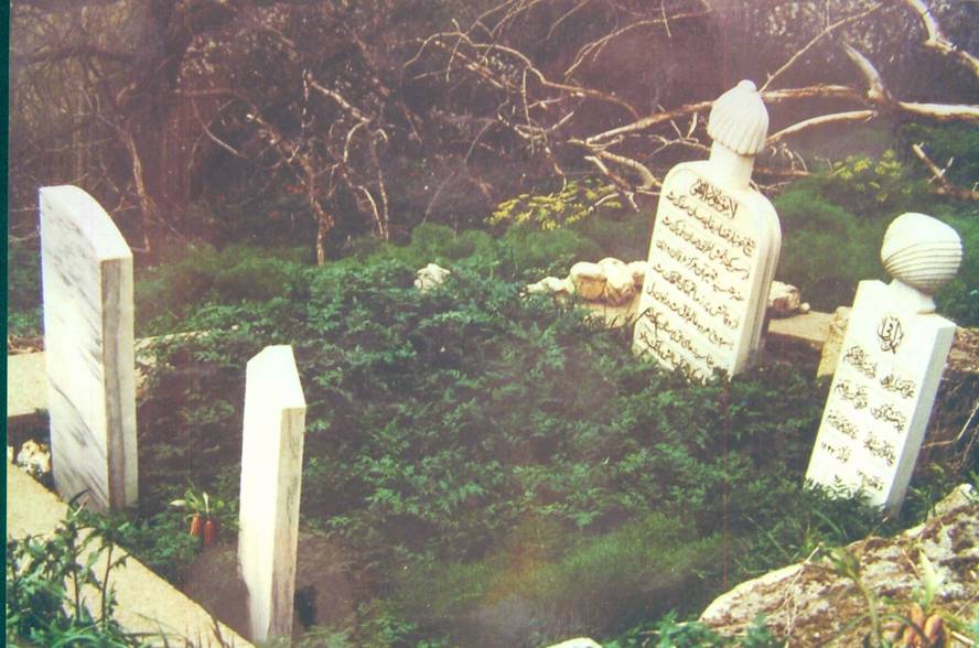 Seyyid Fehim Arvasi Biyografi