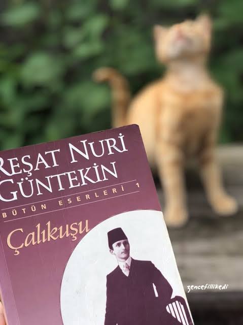 Reşat Nuri Güntekin ‘in Çalıkuşu Romanından En İyi Alıntılar