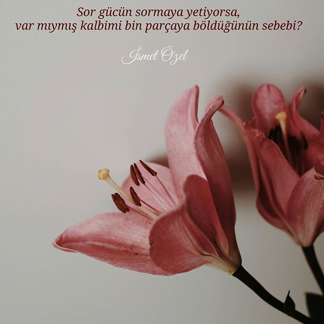 Savaş bitti / İsmet Özel
