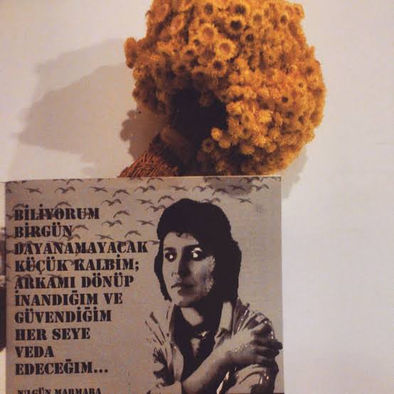 Safir şiir /Nilgün Marmara